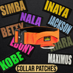 Collar Patches