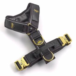 Luxury Dog Gold Series Harness in Black