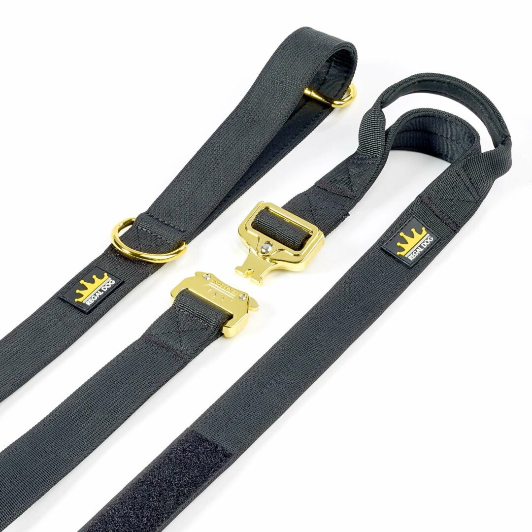 Multipurpose Gold Series Tactical dog leash with frog clip in Black