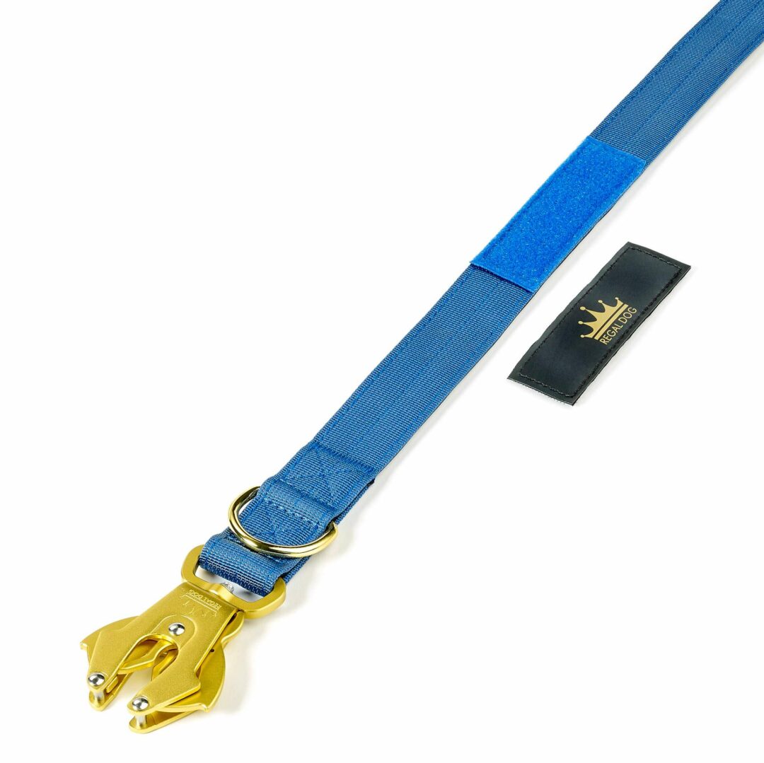 Multipurpose Gold Series Tactical dog leash with frog clip in Ocean Blue