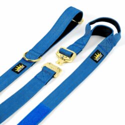 Multipurpose Gold Series Tactical dog leash with frog clip in Ocean Blue