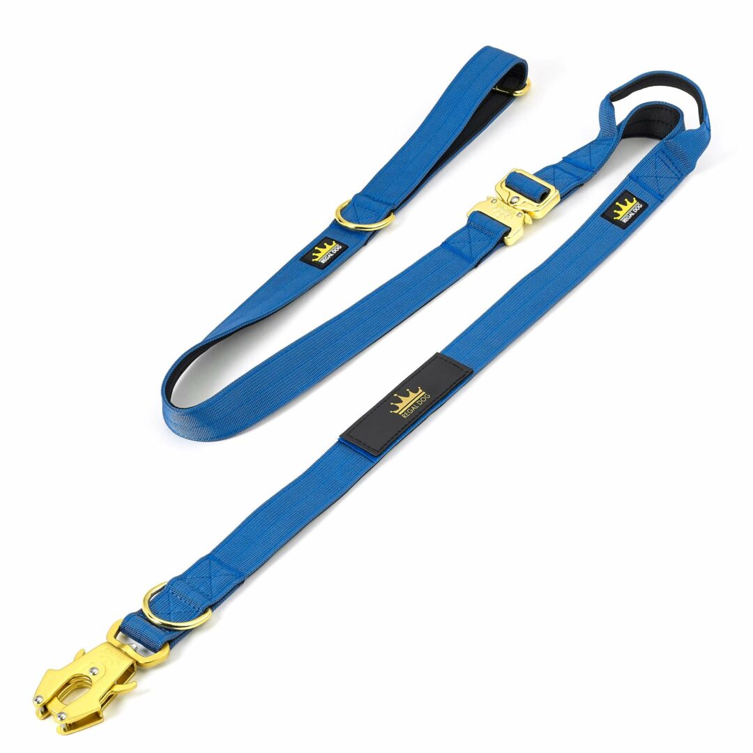 Multipurpose Gold Series Tactical dog leash with frog clip in Ocean Blue