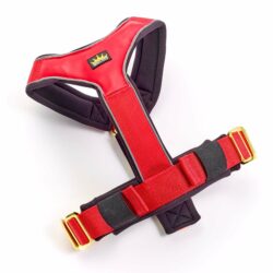 Luxury Dog Gold Series Harness in Red