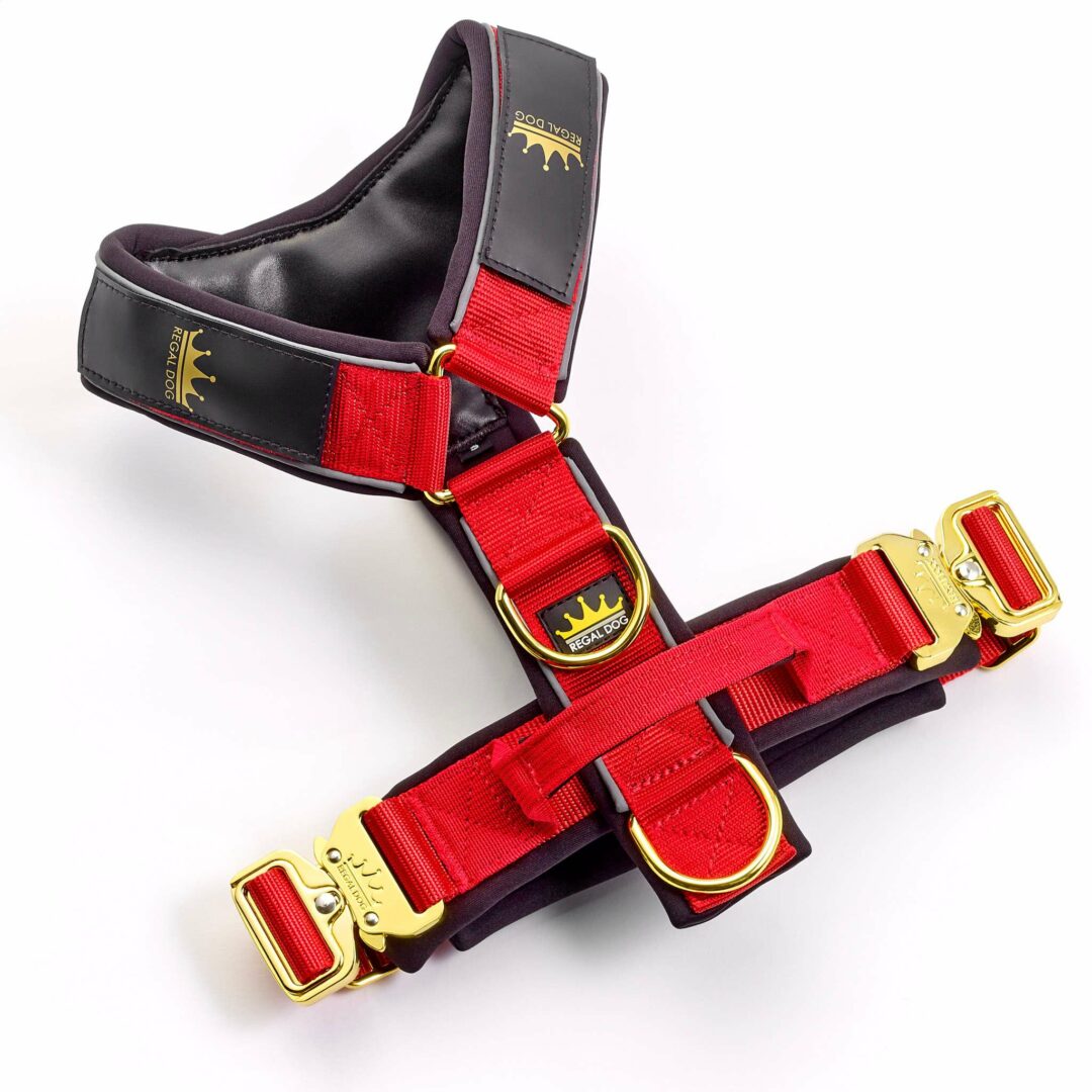 Luxury Dog Gold Series Harness in Red