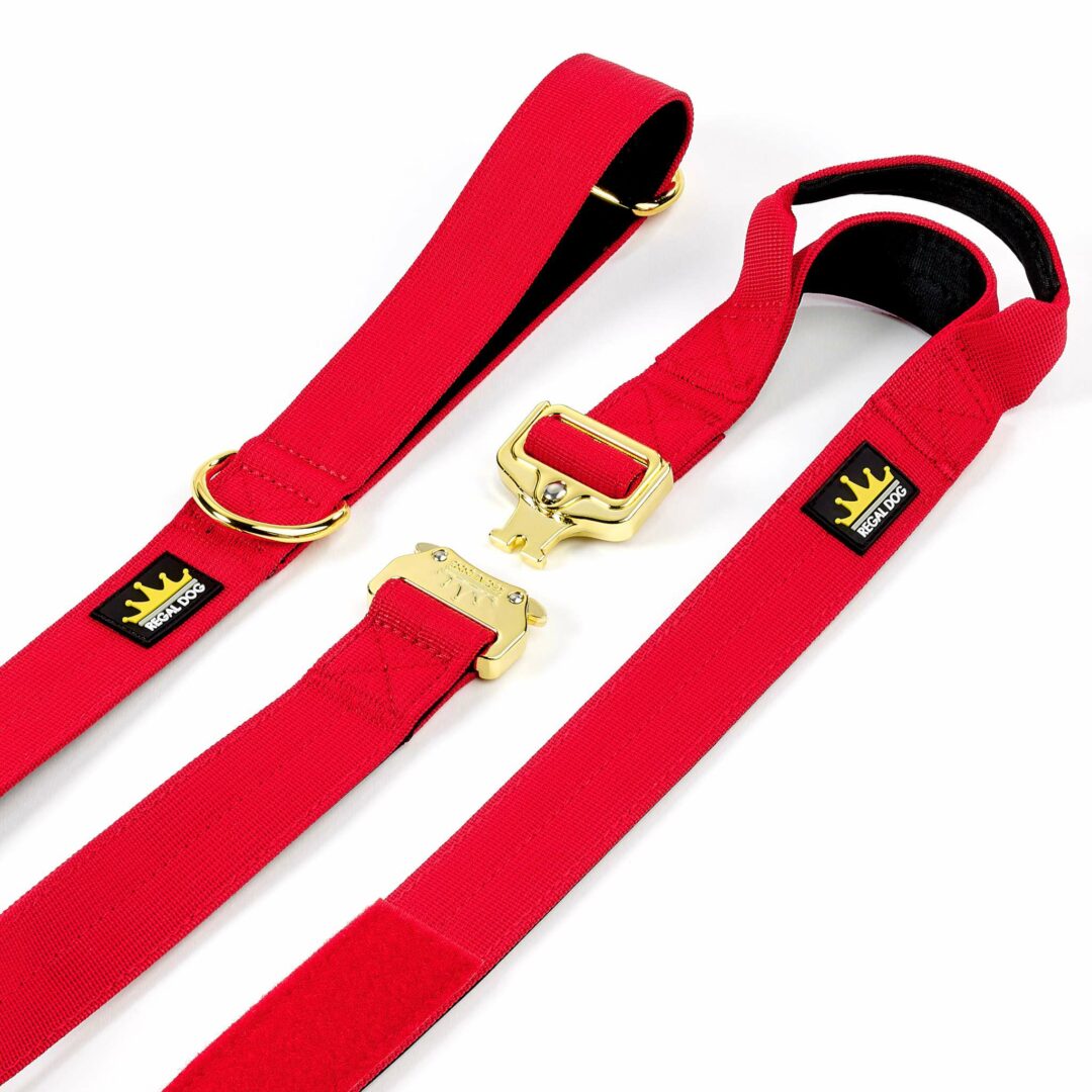 Multipurpose Gold Series Tactical dog leash with frog clip in Red