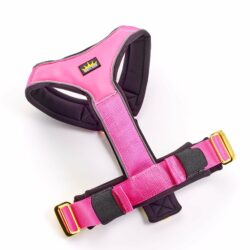 Luxury Dog Gold Series Harness in Rose Pink