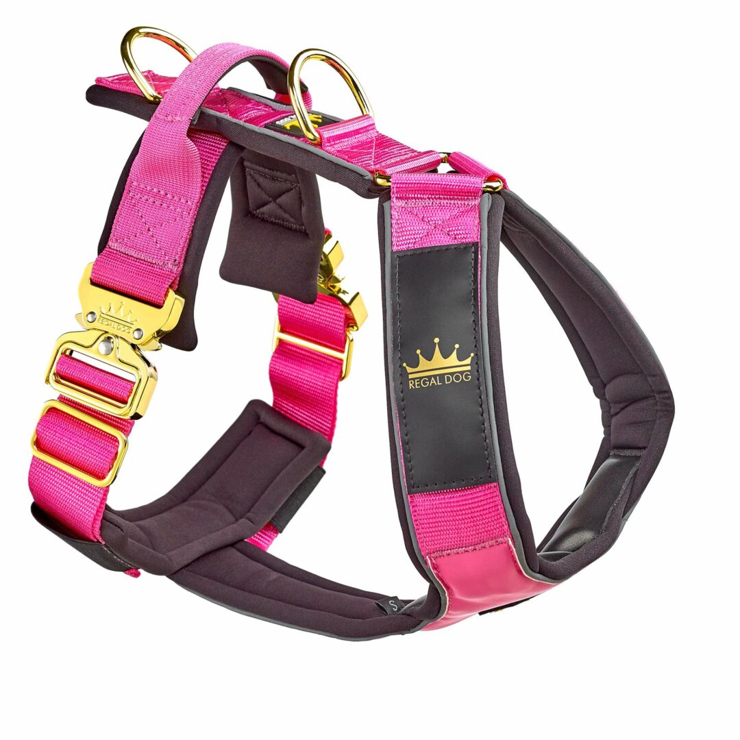 Luxury Dog Gold Series Harness in Rose Pink