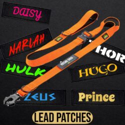 Frog Lead Patches