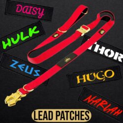 Frog Lead Patches
