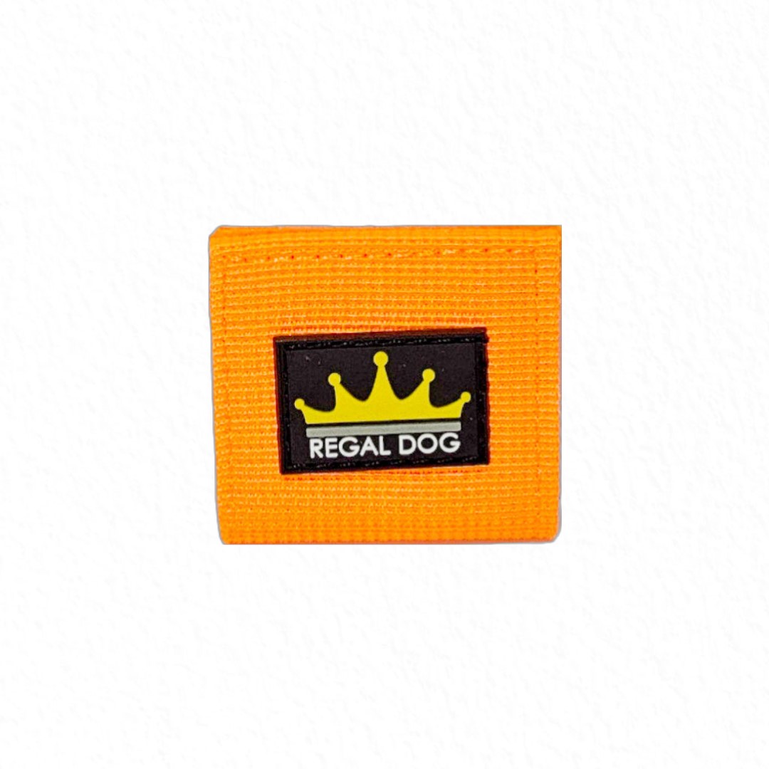 Neon orange airtag pouch regal dog