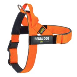Neon Orange Classic Tactical Dog Harness