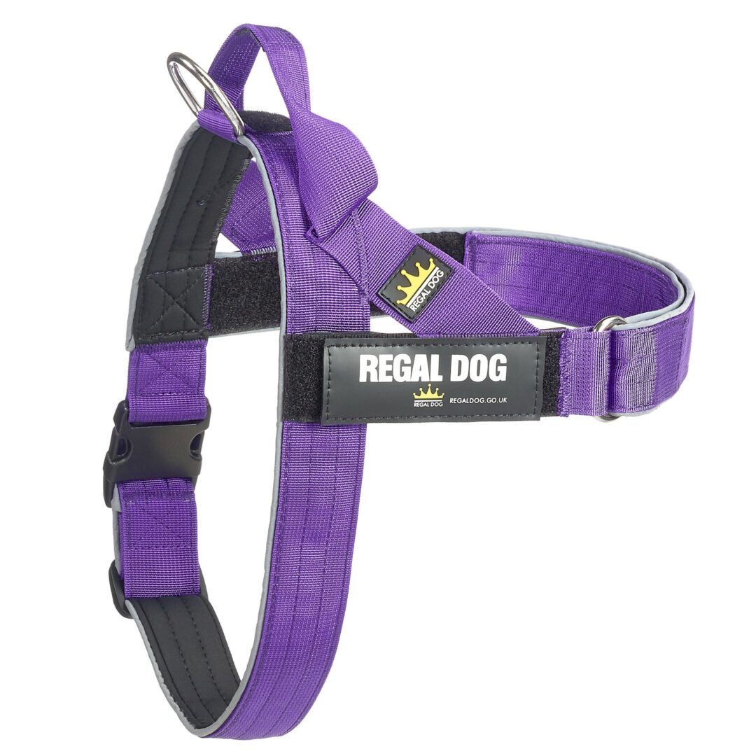 Purple Classic Tactical Dog Harness