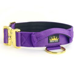 Purple - Gold Series Collar (4cm)