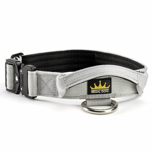 Grey Tactical Collar (3cm)