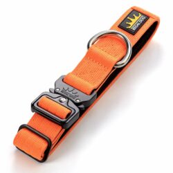 Neon Orange Tactical Collar (3cm) - No Handle