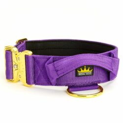 Purple - Gold Series Collar (5cm)
