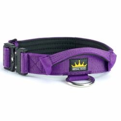 Purple Tactical Collar (3cm)