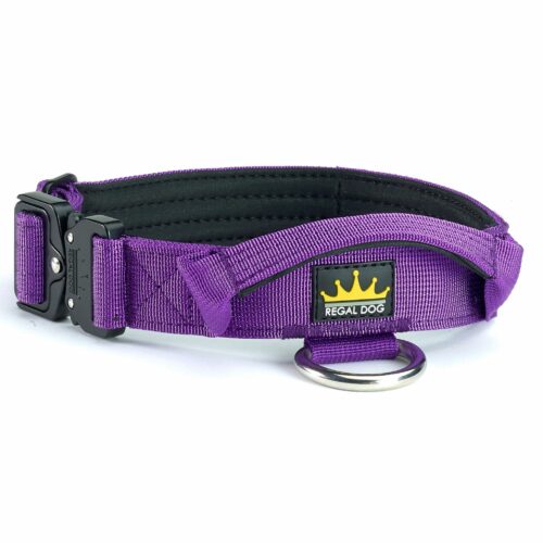 Purple Tactical Collar (3cm)