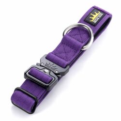 Purple Tactical Collar (3cm) - No Handle