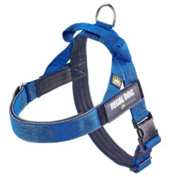 Blue - Classic Harness