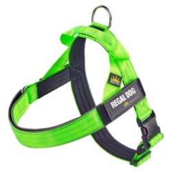 Green - Classic Harness