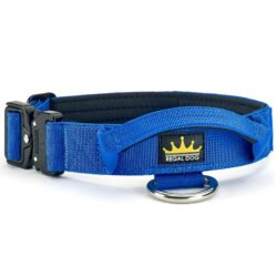 3cm Khaki Dog collar with handle