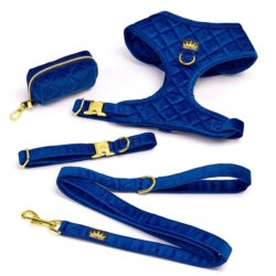 Blue Majestic Bundle