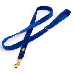 Blue Majestic Lead