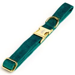 Pine Majestic Collar