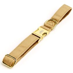 Tan Majestic Collar