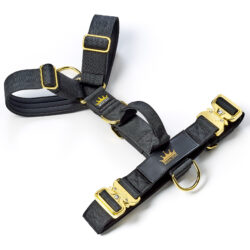 Black - Gold Series Harness