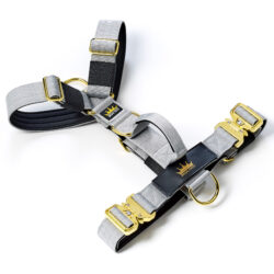 Grey - Gold Series Harness
