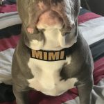 Name Patch photo review