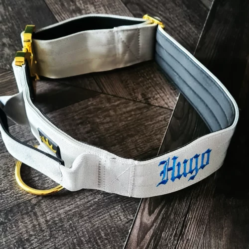 Grey - Gold Series Collar (5cm) photo review