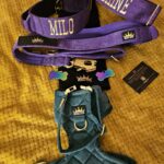 Purple Gold Series Collar (5cm) photo review