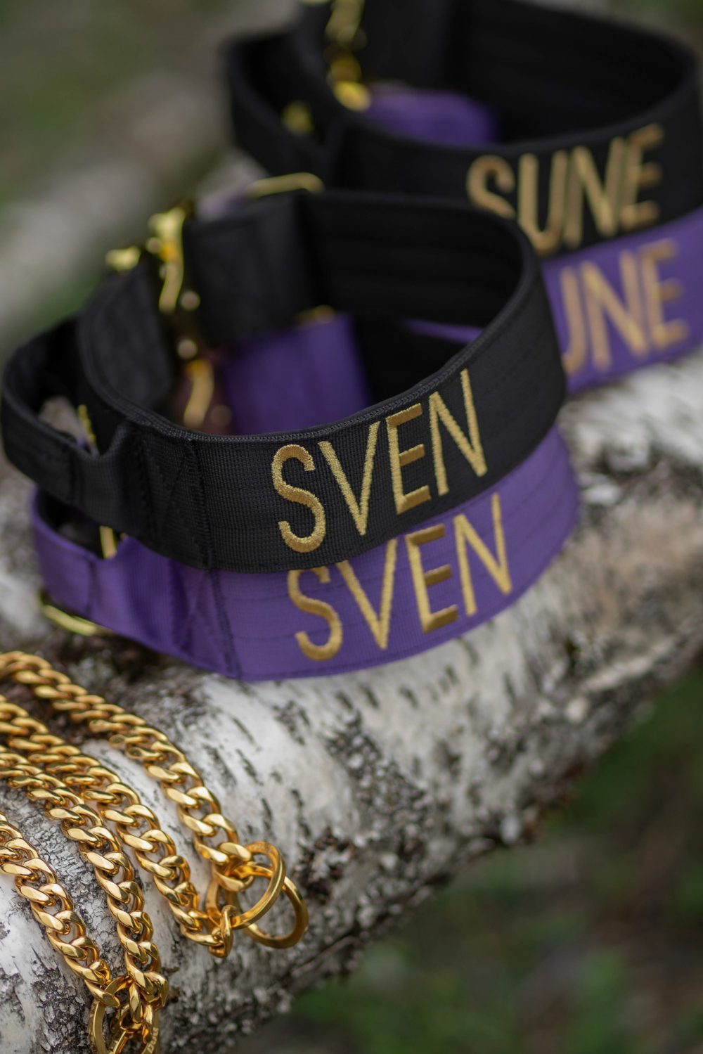 Personalised-Dog-Collars
