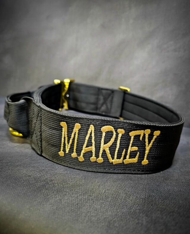 Marley⁠
➖Font: Breezy⁠
➖Colour: Metallic Gold ⁠
➖Collar: 5cm Black Gold Series⁠⁠
⁠
⚜️ Regal Dog - The Luxury Dog Brand ⚜️⁠
⁠
🛒 Shop Now: REGALDOG.CO.UK⁠
⁠
➡️ #RegalDog⁠ #MyRegalDog⁠
#LuxuryDogCollars #DogCollars #DogChains #DogAccessories #LuxuryDog #DogDad #DogMum #DogLover #Puppers #DogMom #Instadog #IGDogs #Puppies #PuppyLove #UKDogs #embroidery #customdogcollars #Personalised #RegalDogPersonalised⁠
