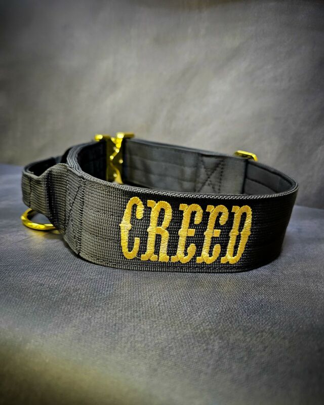 “ Creed” 
➖Font: Breezy⁠
➖Colour: Metallic Gold⁠
➖Collar: 5cm Black Gold Series⁠⁠
⁠
⚜️ Regal Dog - The Luxury Dog Brand ⚜️⁠
⁠
🛒 Shop Now: REGALDOG.CO.UK⁠
⁠
➡️ #RegalDog⁠ #MyRegalDog⁠
#LuxuryDogCollars #DogCollars #DogChains #DogAccessories #LuxuryDog #Dog #RegalDogpersonalised