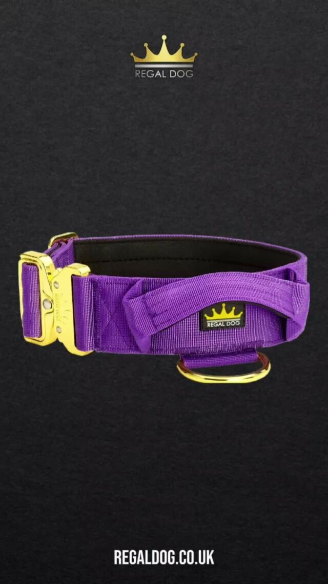 🔮 Matching Set Purple🔮

➖Collar Purple Gold Series 5cm ✔️
➖First Lead Frog Clip ✔️
➖Second Lead Trigger Clip
⁠
⚜️ Regal Dog - The Luxury Dog Brand ⚜️⁠
⁠
🛒 Shop Now: REGALDOG.CO.UK⁠
⁠
➡️ #RegalDog⁠ #MyRegalDog⁠
#LuxuryDogCollars #DogCollars #DogChains #DogAccessories #LuxuryDog #Dog #RegalDogpersonalised #matchingsets