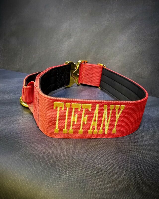 “Tiffany”
➖Font: varsity 
➖Colour: Metallic Gold⁠
➖Collar: 5cm Red Gold Series⁠⁠
⁠
⚜️ Regal Dog - The Luxury Dog Brand ⚜️⁠
⁠
🛒 Shop Now: REGALDOG.CO.UK⁠
⁠
➡️ #RegalDog⁠ #MyRegalDog⁠
#LuxuryDogCollars #DogCollars #DogChains #DogAccessories #LuxuryDog #Dog #RegalDogpersonalised #luxury