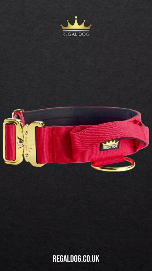 ♥️ Christmas set 😉 what do we think? 

➖Collar Red Series 4cm ♥️
➖First Lead Frog Clip ♥️
➖Second Lead Trigger Clip 
⁠
⚜️ Regal Dog - The Luxury Dog Brand ⚜️⁠
⁠
🛒 Shop Now: REGALDOG.CO.UK⁠
⁠
➡️ #RegalDog⁠ #MyRegalDog⁠
#LuxuryDogCollars #DogCollars #DogChains #DogAccessories #LuxuryDog #Dog #RegalDogpersonalised #sets #perfection