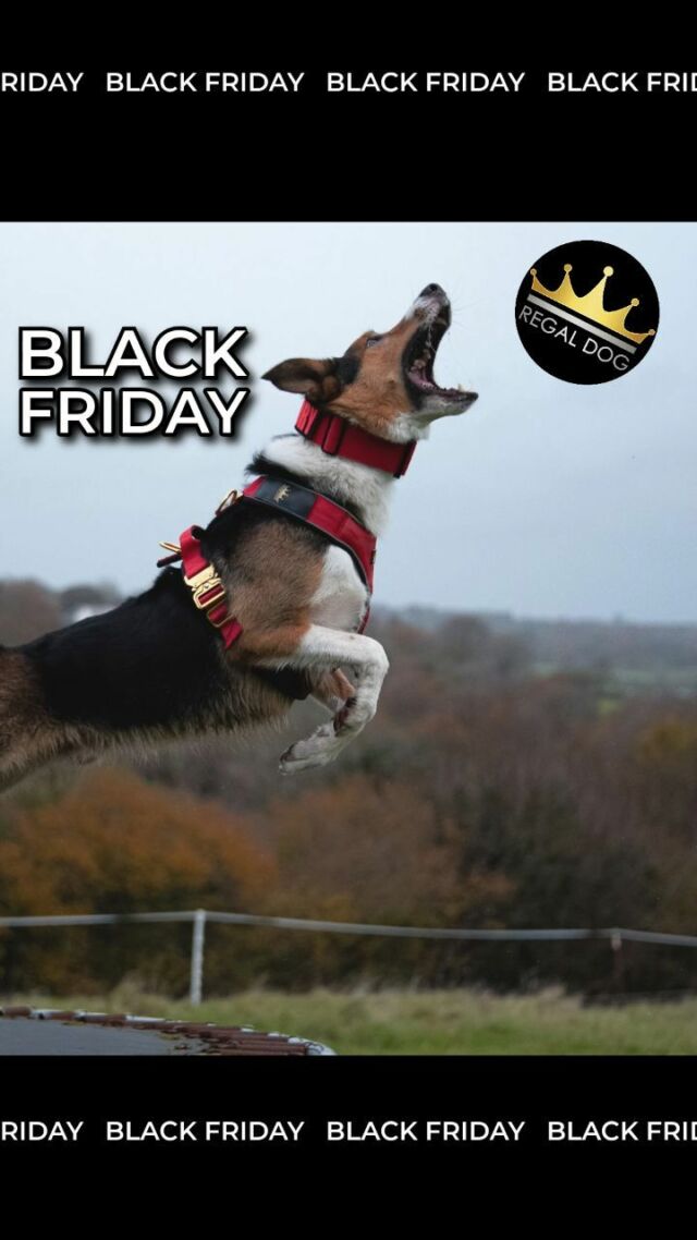 Our Black Friday sale is LIVE! How will you spoil your pup? 🖤

⚜️ Regal Dog - The Luxury Dog Brand ⚜️⁠
⁠
🛒 Shop Now: REGALDOG.CO.UK⁠

#RegalDog #MyRegalDog #Puppers #Dog #Dogstagram #weeklyfluff #dogsdaily #lovedogs #cutedog #dogs #dogsofinstagram #dogstagram #puppy #instadog #doglover #dogoftheday #doglovers #pets #doglife  #puppylove #puppies #dogsofinsta #puppiesofinstagram #doggo #petsofinstagram #ilovemydog #dogslife #doglove