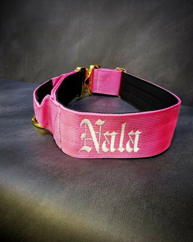 🩷“NALA”🩷⁠
⁠
➖Font: Old English ⁠
➖Colour: White ⁠
➖Collar: 5cm Rose Pink Gold Series⁠⁠
⁠
⚜️ Regal Dog - The Luxury Dog Brand ⚜️⁠
⁠
🛒 Shop Now: REGALDOG.CO.UK⁠
⁠
➡️ #RegalDog⁠ #MyRegalDog⁠
#LuxuryDogCollars #DogCollars #DogChains #DogAccessories #LuxuryDog #Dog #RegalDogpersonalised