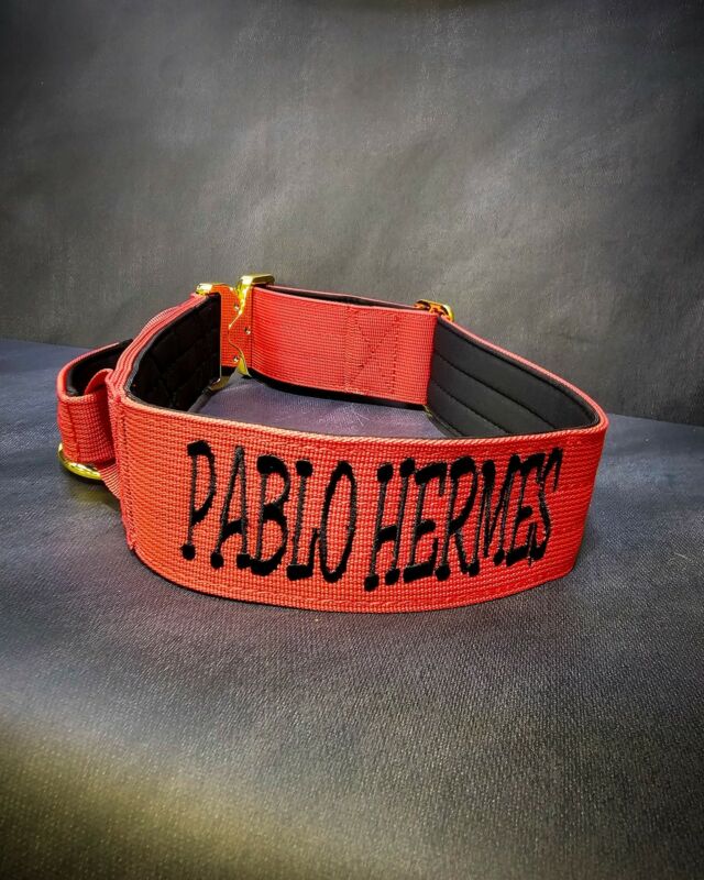 ❤️‍🔥“ PABLO HERMES” ❤️‍🔥

➖Font: Breezy
➖Colour: Black
➖Collar: 5cm Red Gold Series⁠⁠
⁠
⚜️ Regal Dog - The Luxury Dog Brand ⚜️⁠
⁠
🛒 Shop Now: REGALDOG.CO.UK⁠
⁠
➡️ #RegalDog⁠ #MyRegalDog⁠
#LuxuryDogCollars #DogCollars #DogChains #DogAccessories #LuxuryDog #Dog #RegalDogpersonalised