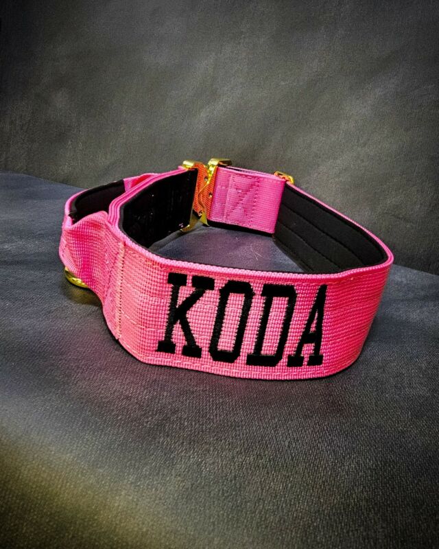 🩷—Koda— 🩷
➖Font: Varsity 
➖Colour: Black 
➖Collar: 5cm Pink Gold Series⁠⁠
⁠
⚜️ Regal Dog - The Luxury Dog Brand ⚜️⁠
⁠
🛒 Shop Now: REGALDOG.CO.UK⁠
⁠
➡️ #RegalDog⁠ #MyRegalDog⁠
#LuxuryDogCollars #DogCollars #DogChains #DogAccessories #LuxuryDog #Dog #RegalDogpersonalised
