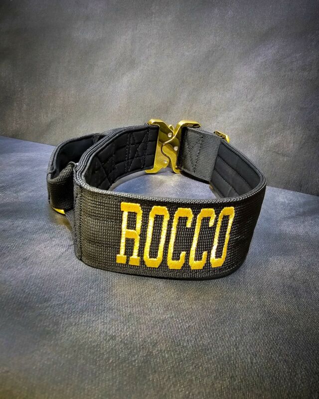 “ Rocco Harley Kobi” 
➖Font: VARISTY 
➖Colour: Metallic Gold⁠
➖Collar: 5cm Black Gold Series⁠⁠
⁠
⚜️ Regal Dog - The Luxury Dog Brand ⚜️⁠
⁠
🛒 Shop Now: REGALDOG.CO.UK⁠
⁠
➡️ #RegalDog⁠ #MyRegalDog⁠
#LuxuryDogCollars #DogCollars #DogChains #DogAccessories #LuxuryDog #Dog #RegalDogpersonalised