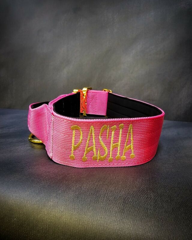 PASHA
➖Font: Breezy⁠
➖Colour: Metallic Gold⁠
➖Collar: 5cm Pink Gold Series⁠⁠
⁠
⚜️ Regal Dog - The Luxury Dog Brand ⚜️⁠
⁠
🛒 Shop Now: REGALDOG.CO.UK⁠
⁠
➡️ #RegalDog⁠ #MyRegalDog⁠
#LuxuryDogCollars #DogCollars #DogChains #DogAccessories #LuxuryDog #Dog #RegalDogpersonalised