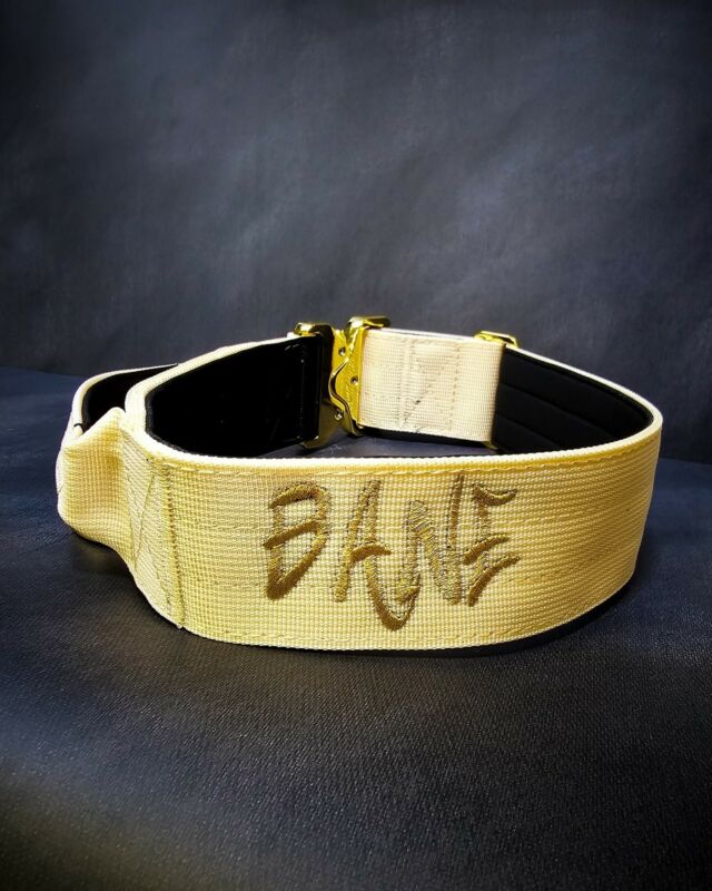 Check out our Gold series collars.
To have your collar embroidered is an only £8.99 extra🤤💯🙌🏻

➖Font: Shout out, Breezy
➖Colour: Metallic Gold⁠, Red, Pink
➖Collar: 5cm Cream Gold Series⁠⁠
⁠
⚜️ Regal Dog - The Luxury Dog Brand ⚜️⁠
⁠
🛒 Shop Now: REGALDOG.CO.UK⁠
⁠
➡️ #RegalDog⁠ #MyRegalDog⁠
#LuxuryDogCollars #DogCollars #DogChains #DogAccessories #LuxuryDog #Dog #RegalDogpersonalised