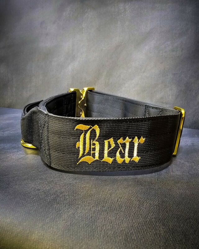 🐻👑Bear we are obsessed with this one 👑🐻 

➖Font: Old English 
➖Colour: Metallic Gold⁠
➖Collar: 5cm Black Gold Series⁠⁠
⁠
⚜️ Regal Dog - The Luxury Dog Brand ⚜️⁠
⁠
🛒 Shop Now: REGALDOG.CO.UK⁠
⁠
➡️ #RegalDog⁠ #MyRegalDog⁠
#LuxuryDogCollars #DogCollars #DogChains #DogAccessories #LuxuryDog #Dog #RegalDogpersonalised