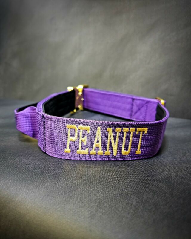 Purple is one of our favourites 💜

What’s your favourite colour? 

➖Colour: Metallic Gold⁠
➖Collar: Purple Gold Series⁠⁠
⁠
⚜️ Regal Dog - The Luxury Dog Brand ⚜️⁠
⁠
🛒 Shop Now: REGALDOG.CO.UK⁠
⁠
➡️ #RegalDog⁠ #MyRegalDog⁠
#LuxuryDogCollars #DogCollars #DogChains #DogAccessories #LuxuryDog #Dog #RegalDogpersonalised